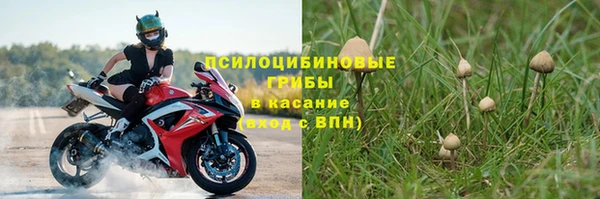 твердый Алексин