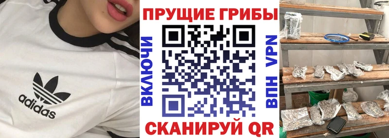магазин  наркотиков  Котлас  Псилоцибиновые грибы ЛСД 