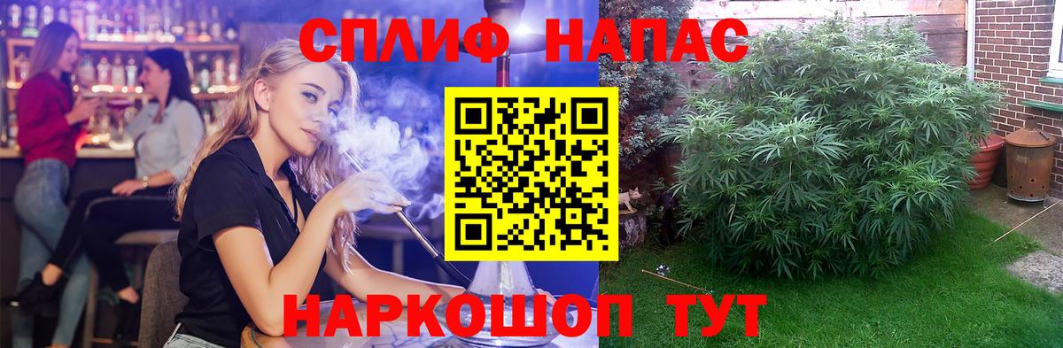 Котлас  Бошки марихуана гибрид  Вход с VPN  Шишки марихуана семена  Конопля марихуана 